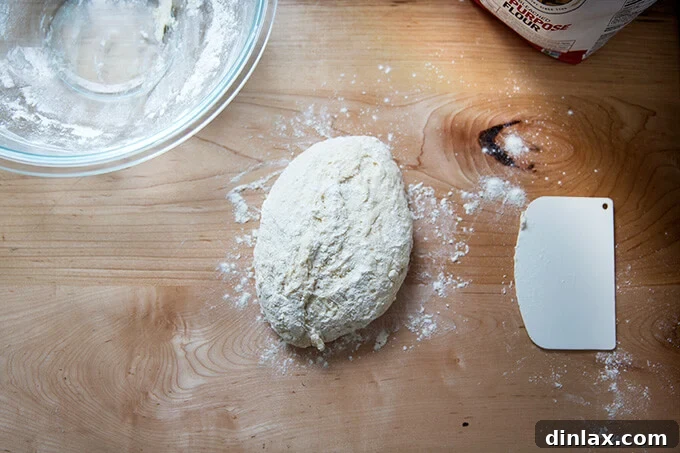 Risen naan dough gently turned out onto a floured work surface, ready for dividing.