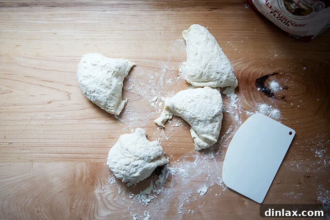 Four equal portions of naan dough resting on a floured work surface.