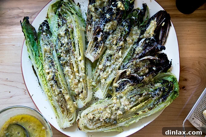 Fire-Kissed Romaine Caesar 13 A platter of grilled Romaine and Treviso topped with anchovy dressing and parmesan.