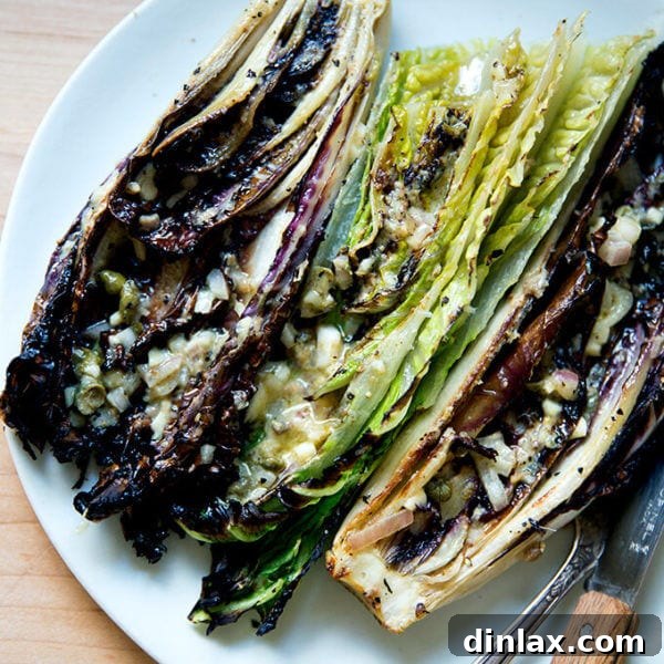 A plate of "grilled" Romaine salad with anchovy dressing.
