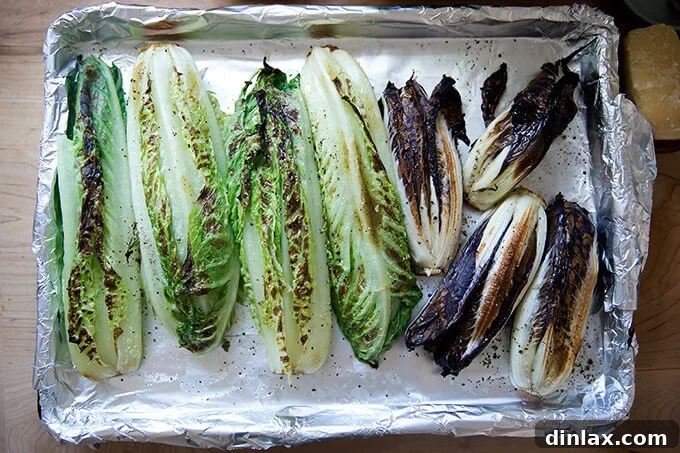 Fire-Kissed Romaine Caesar 9 Broiled Treviso and Romaine on a sheet pan.