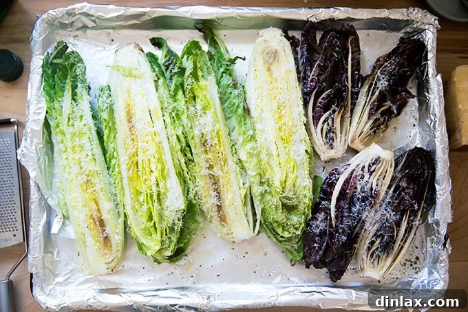Fire-Kissed Romaine Caesar 10 A sheet pan of Romaine and Treviso topped with grated parmesan.