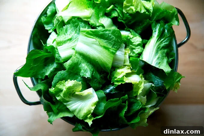 A colander brimming with freshly chopped escarole, ready for cooking.