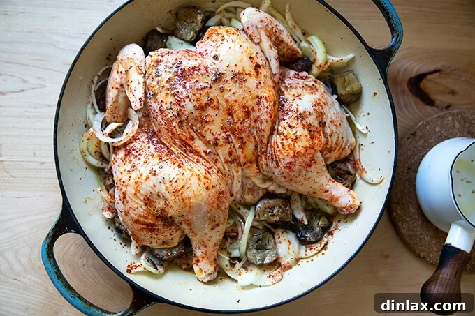 A whole spatchcocked chicken, generously seasoned with salt, pepper, and Aleppo pepper, resting on a bed of onions, dates, and artichoke hearts in a roasting pan, ready for the oven.