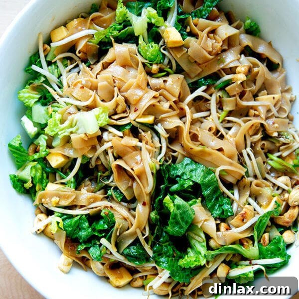 A bowl of rad na Thai noodles.