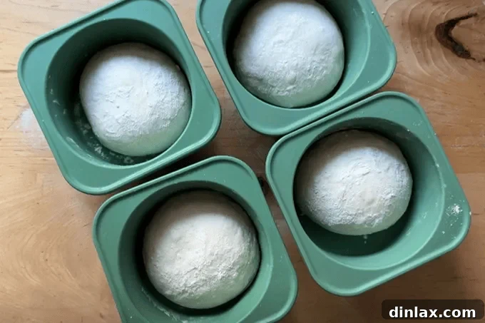 Unlock the Best Sourdough Pizza Crust 12 img 69662 11