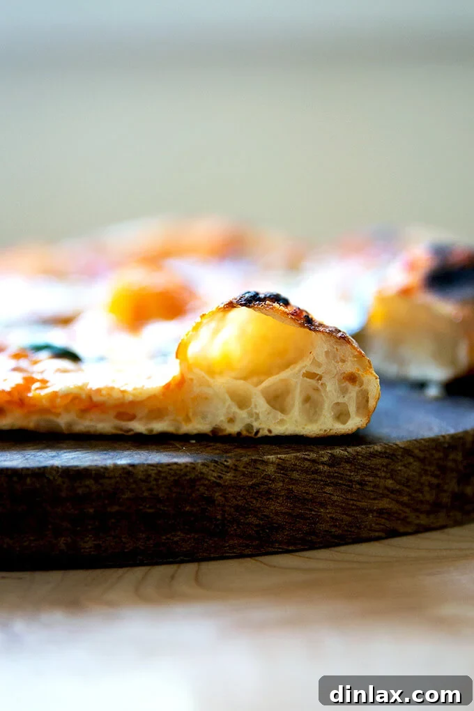 Unlock the Best Sourdough Pizza Crust 18 A crumb shot of sourdough pizza crust, just baked.