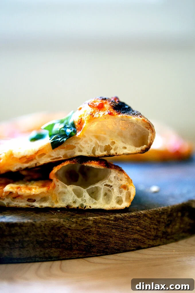 Unlock the Best Sourdough Pizza Crust 19 Two crumb shots of sourdough pizza crusts, freshly baked.