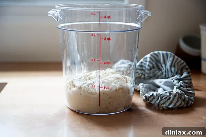 Unlock the Best Sourdough Pizza Crust 8 Sourdough pizza dough just mixed.