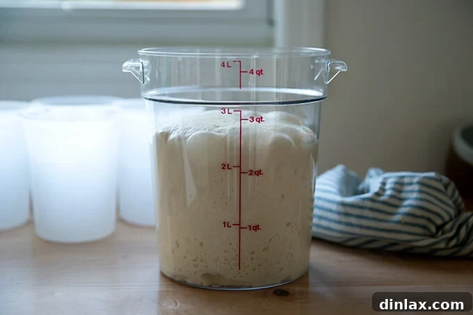 Unlock the Best Sourdough Pizza Crust 9 Sourdough pizza dough after bulk fermentation.