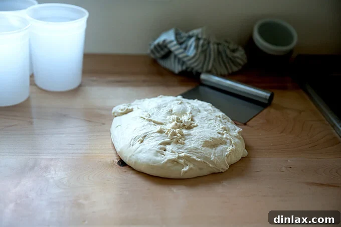 Unlock the Best Sourdough Pizza Crust 10 Sourdough pizza dough on the bench.