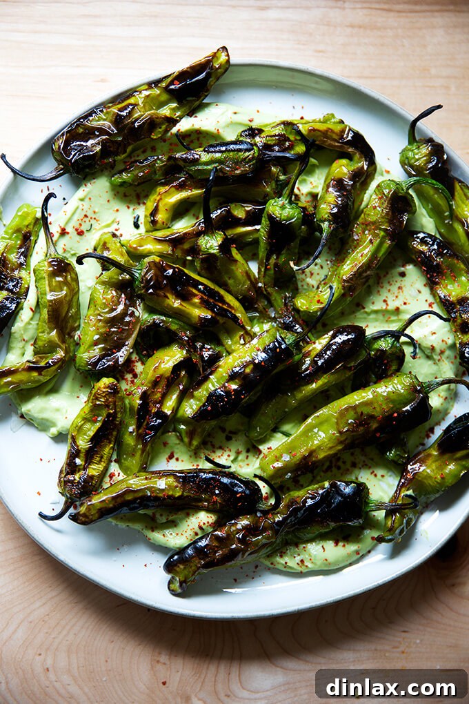 A stunning final presentation of broiled shishito peppers piled high on a platter, artfully arranged over a bed of smooth avocado crema, ready to be enjoyed.