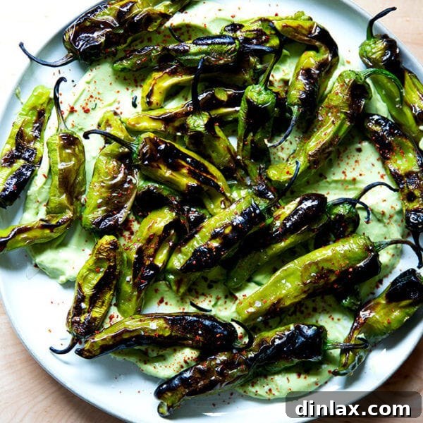 A platter of broiled shishito peppers with avocado cream.