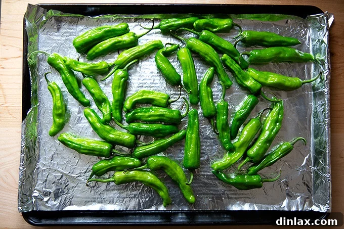 A sheet pan lined with foil, covered with a single layer of fresh shishito peppers that have been lightly tossed in olive oil and seasoned with sea salt, ready for broiling.