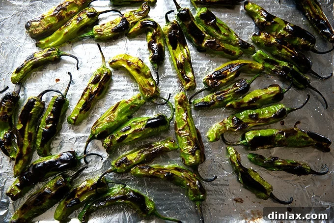 A close-up of a sheet pan filled with freshly broiled shishito peppers, each one perfectly blistered and charred, ready to be served.