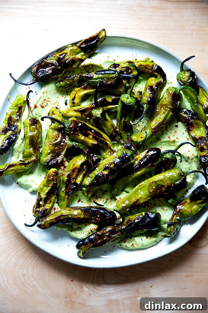 A vibrant platter of perfectly broiled shishito peppers, beautifully arranged and served with a rich, creamy avocado crema for dipping.