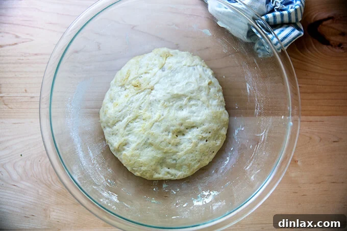Your Guide to Irresistible Homemade Pita 12 Risen pita bread dough in a bowl, showing increased volume.