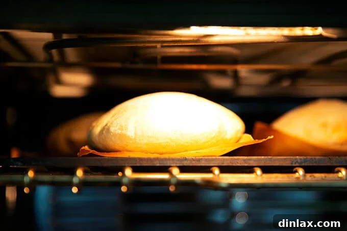 Your Guide to Irresistible Homemade Pita 3 Pita bread puffing dramatically on a Baking Steel in a hot oven.