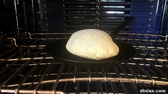 Your Guide to Irresistible Homemade Pita 4 A pita cooking on a preheated cast iron skillet in the oven.