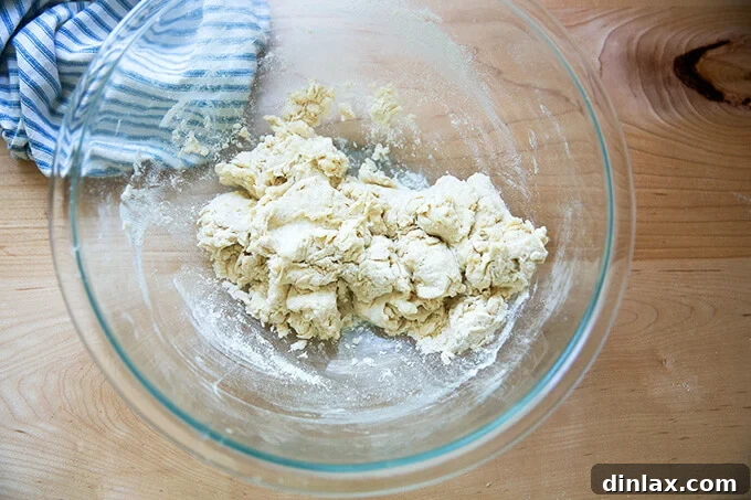 Your Guide to Irresistible Homemade Pita 10 A shaggy pita bread dough in a large bowl.