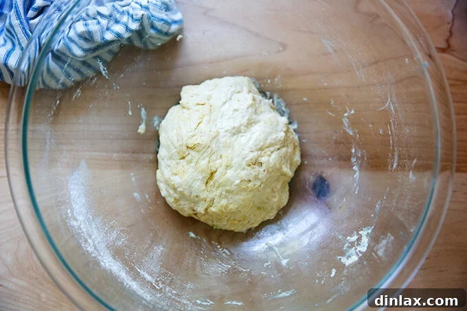 Your Guide to Irresistible Homemade Pita 11 Mixed pita bread dough in a bowl, before rising.