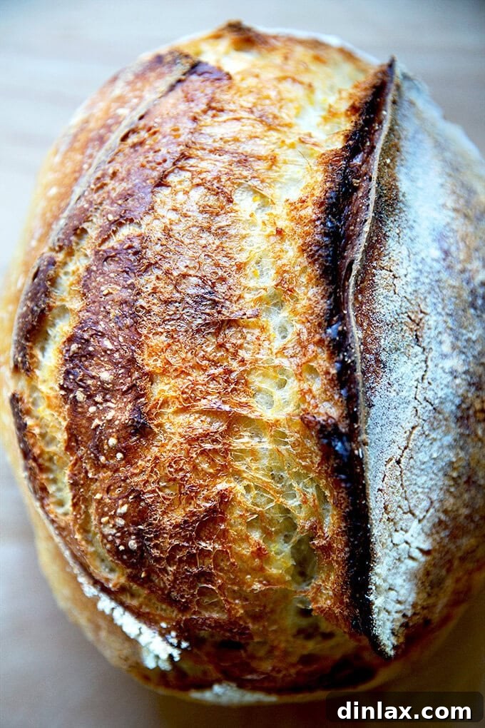 A loaf of sourdough bread.