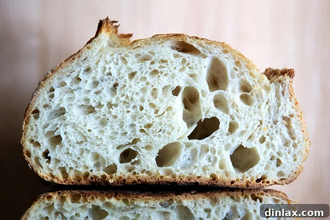 halved loaf of a sourdough bread