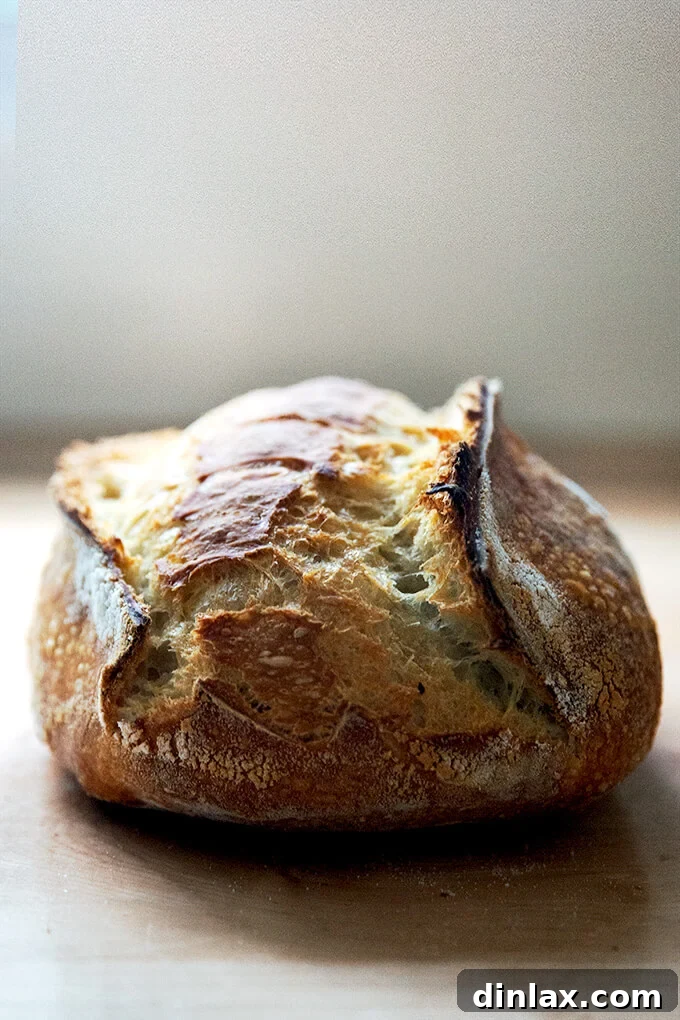 A freshly baked loaf of sourdough bread. 