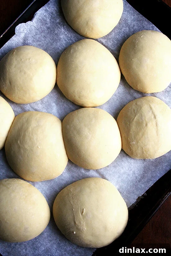 The crucial rising stage for light brioche dough, ensuring a perfect texture. Unbaked light brioche dough balls rising on a baking sheet, promising future fluffy buns.