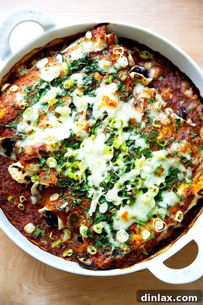Ultimate Vegetarian Bean and Cheese Enchiladas 2 Just-baked black bean and cheese enchiladas, golden and bubbling.