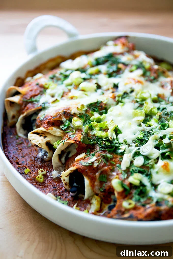 Ultimate Vegetarian Bean and Cheese Enchiladas 11 A close-up of just-baked black bean and cheese enchiladas, showing the melted cheese and fresh green garnishes.
