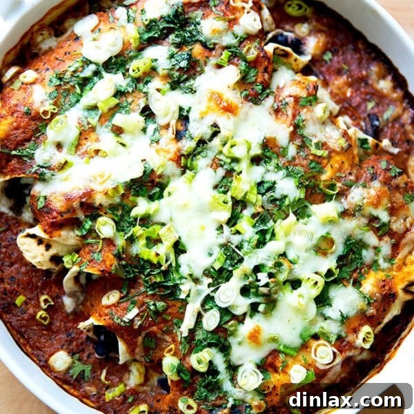 Just-baked black bean and cheese enchiladas.