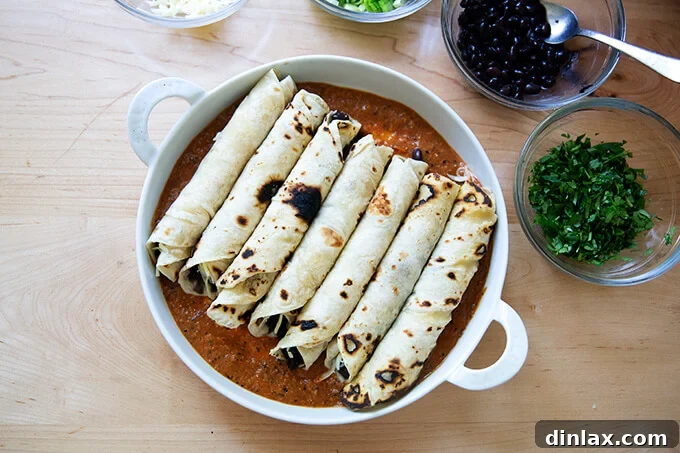 Ultimate Vegetarian Bean and Cheese Enchiladas 6 A baking dish filled with several rolled tortillas, each generously stuffed with black beans and Monterey Jack cheese.