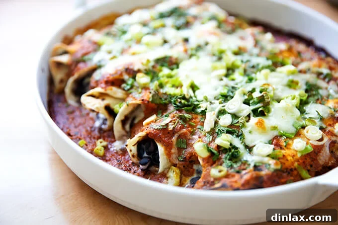 Ultimate Vegetarian Bean and Cheese Enchiladas 10 Freshly baked black bean and cheese enchiladas, bubbling hot with melted cheese and fresh herbs.