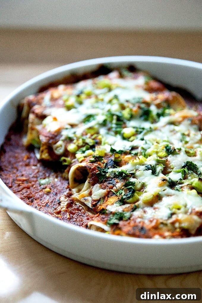 Smoky Instant Pot Chicken Tinga 15 A just-baked dish of chicken enchiladas.