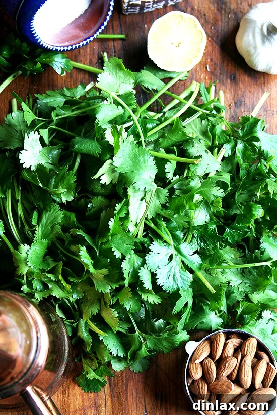 A selection of fresh ingredients laid out on a wooden board for making pesto, including vibrant cilantro, bright lemon, robust garlic, crunchy almonds, rich olive oil, and grated Parmesan cheese.
