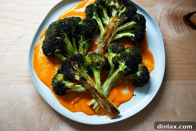 Roasted broccoli halves on a plate spread with tomato sauce.