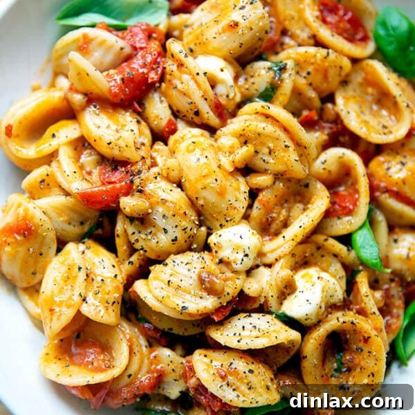 A bowl of pasta tossed with cherry tomato sauce, pine nuts, basil and mozzarella.
