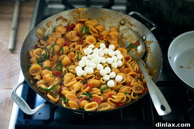 A large skillet of orecchiette pasta and cherry tomato sauce on the stovetop, with small, fresh mozzarella balls scattered throughout, ready to be stirred in and melted into the warm pasta.