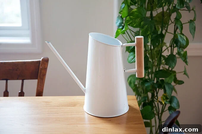 A sleek, modern watering can, perfect for indoor plants.