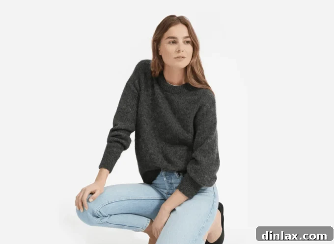 Everlane Oversized Alpaca Crew sweater, offering luxurious softness and a relaxed fit.