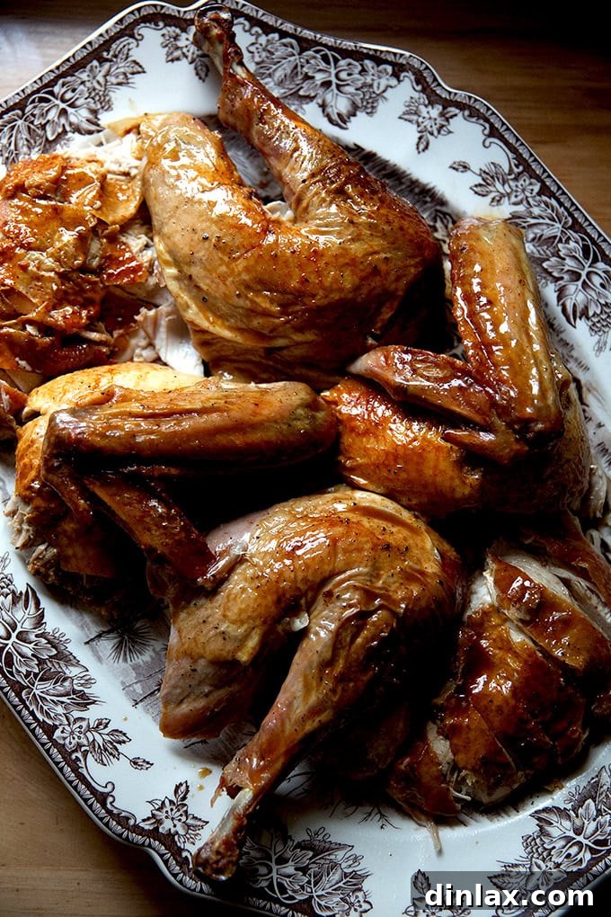 Perfectly roasted dry-brined turkey with golden-brown, crispy skin, ready to be carved.