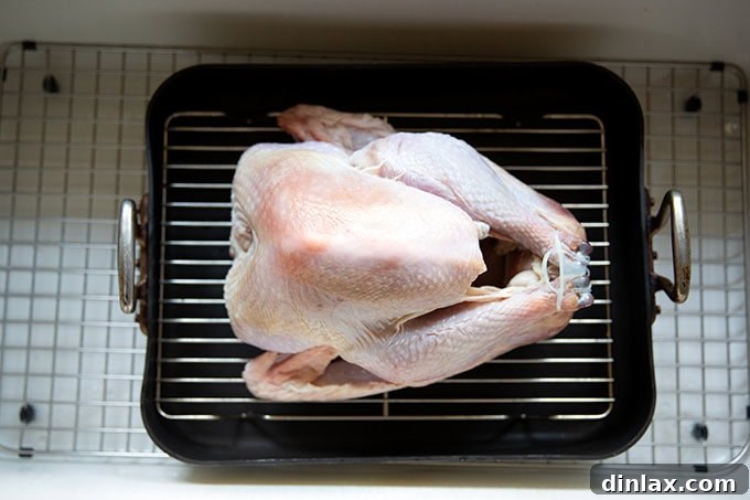 Turkey placed on a roasting rack and patted dry, waiting to be roasted.
