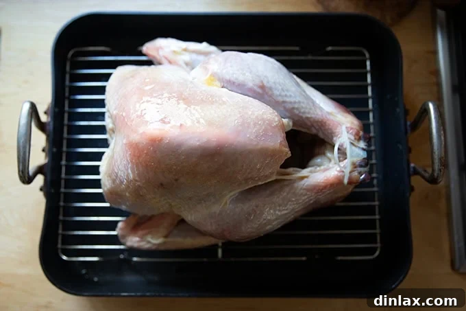 Brushing melted butter onto the turkey's skin.