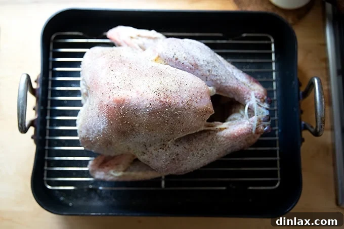 Seasoning the buttered turkey with salt and pepper.