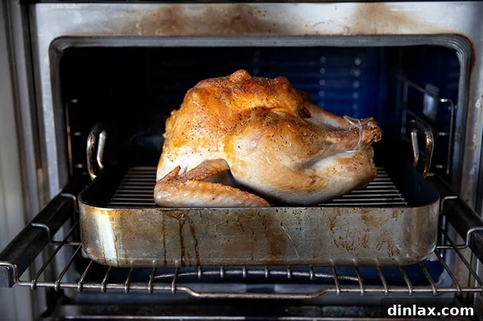 Turkey in the oven, with wine and water added to the roasting pan.