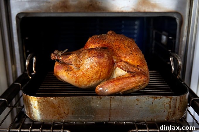 A perfectly roasted turkey, ready to be removed from the oven.
