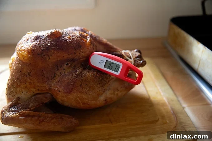 Using an instant-read thermometer to check the turkey's internal temperature.