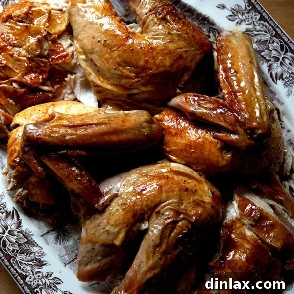 Perfectly roasted dry-brined turkey with golden-brown, crispy skin.