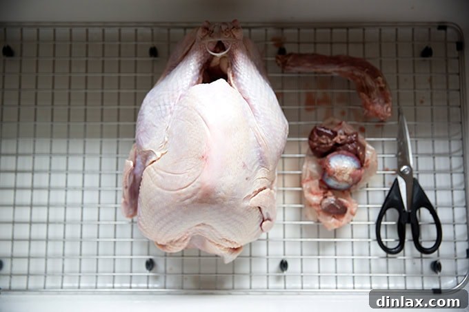 Removing giblets from the turkey cavity.